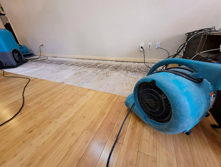 How Property Damage Restoration Helps You Recover from Floods, Fires, and Storms