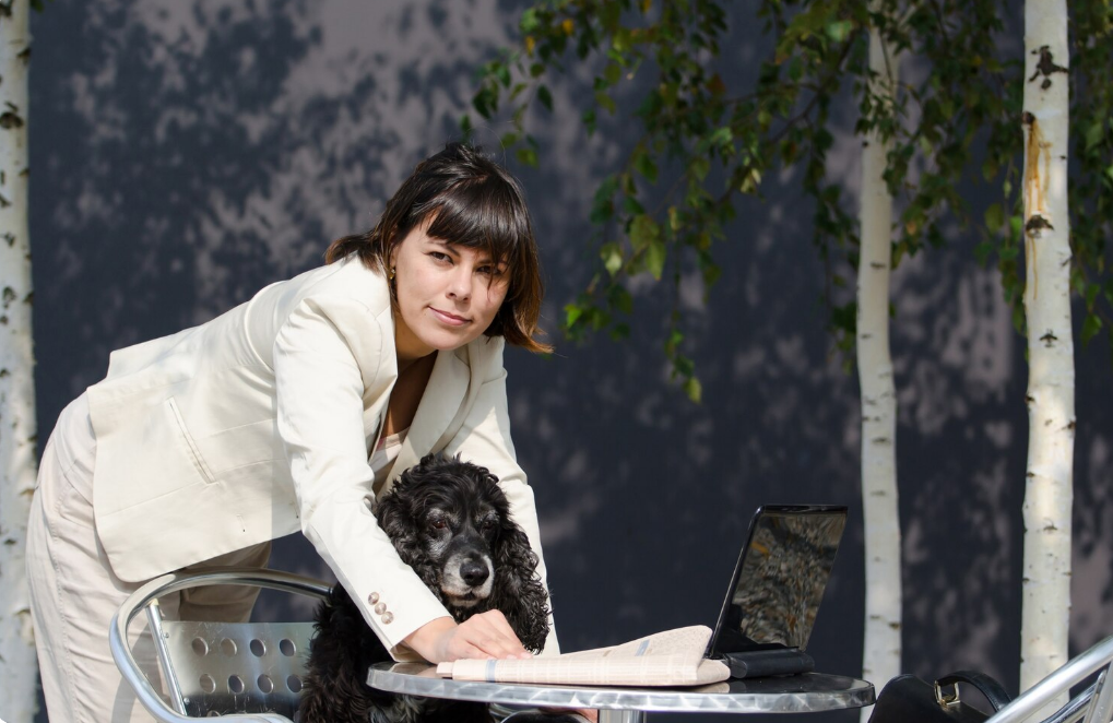 Investing in the Pet Industry: Key Financial Insights for Cat Product Entrepreneurs